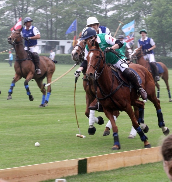 Polo_Art   007.jpg